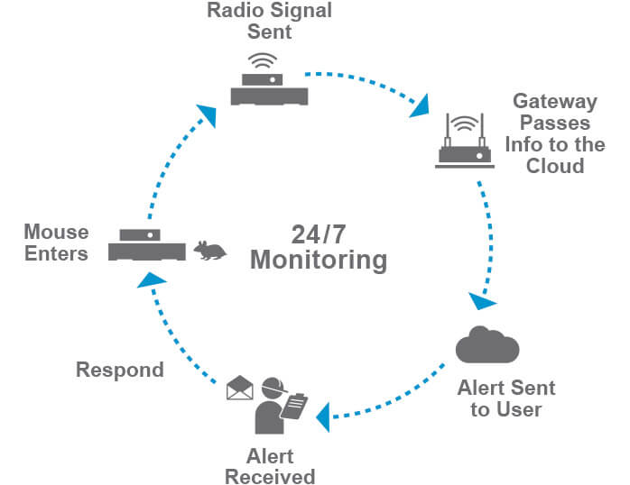 Envu Rodent Monitoring System 24/7 Chart